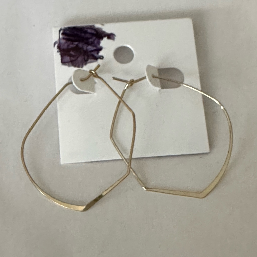 Bp. Jewelry Hammered Flat Earrings